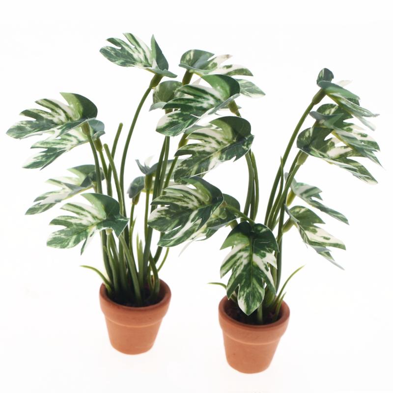 Novo. 1PC Planta Verde Monster - Vase Decor avaliação e preço