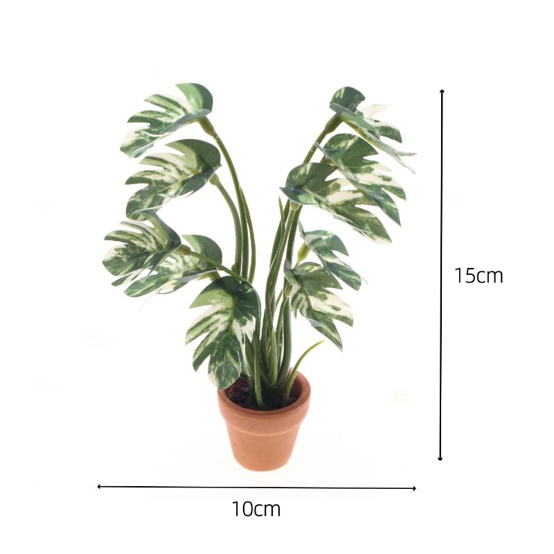 Novo. 1PC Planta Verde Monster - Vase Decor avaliação e preço